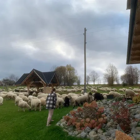 Chalet Gorski Zakatek Z Jacuzzi Nowe Bystre