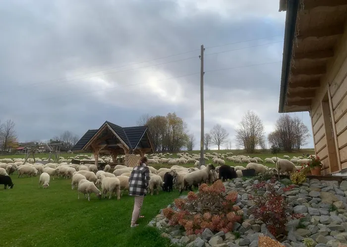 Chalet Gorski Zakatek Z Jacuzzi Nowe Bystre